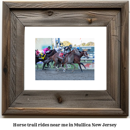 horse trail rides near me in Mullica, New Jersey